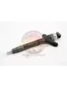 Injecteur complet 1VDFTV pour VDJ76/78/79 Terrain Tamer