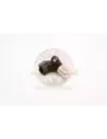 Capteur de position de came Terrain Tamer 90919-05029