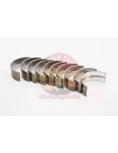 Kit roulement principal STD 3B 3B Terrain Tamer 2