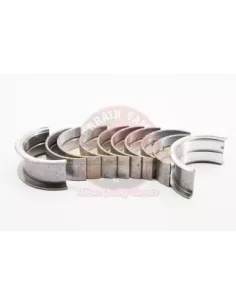 Kit roulement principal Terrain Tamer 0.25 B 2B 3B 2