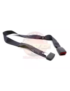 Ceinture sécurité arrière droite garniture grise Terrain Tam 2