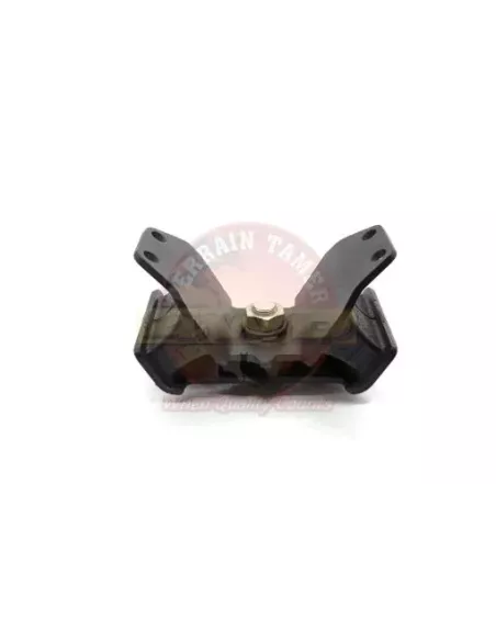 Support moteur arrière MTM Terrain Tamer