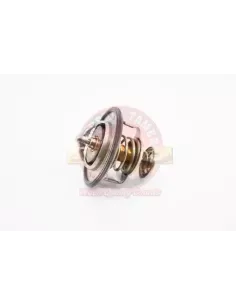 Thermostat YD2DT Terrain Tamer pour 4x4 - Réf 21200-BN301