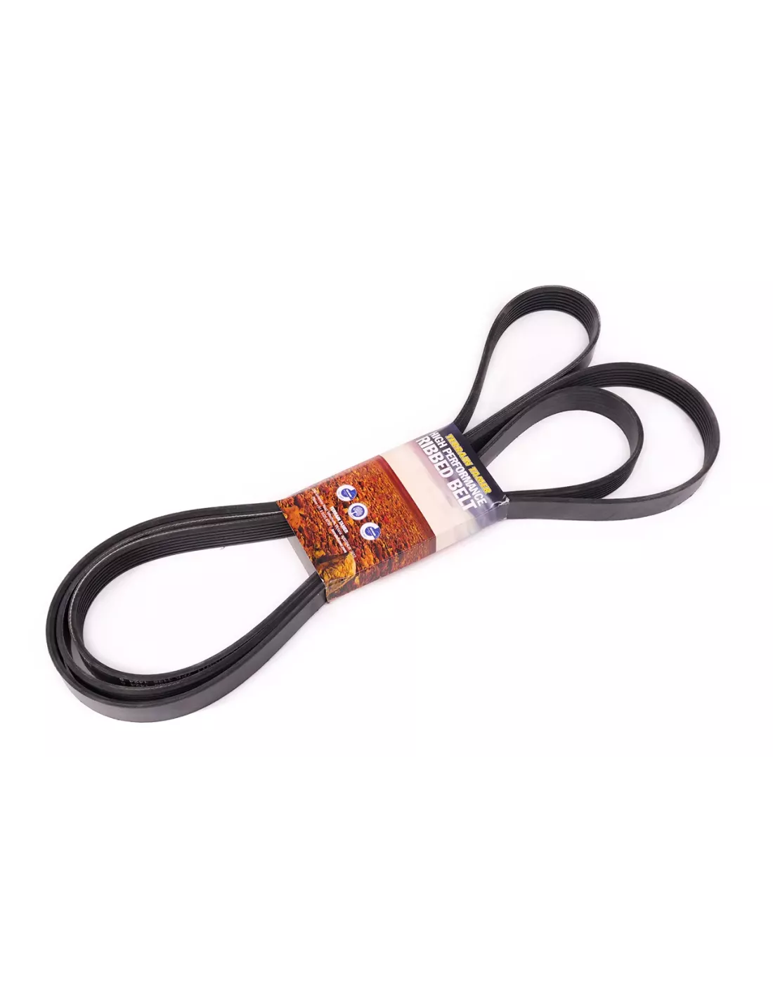 Courroie d'accessoires serpentine P4AT 2.2L Terrain Tamer