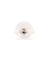 Ressort de maintien anti-grincement garniture de frein