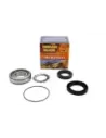 Kit roulement de roue arrière sans ABS Terrain Tamer Ford