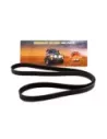 Courroie d'accessoires Diesel Terrain Tamer Volkswagen