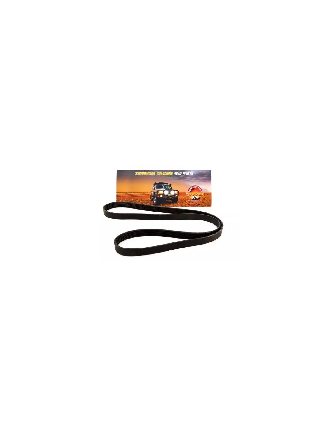 Courroie d'accessoires Diesel Terrain Tamer Volkswagen
