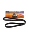 Courroie d'accessoires Diesel Terrain Tamer Volkswagen