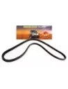 Courroie de climatisation 4JX1 3L Diesel Terrain Tamer