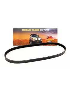 Courroie climatisation 6VD1 V6 3.2L essence Terrain Tamer
