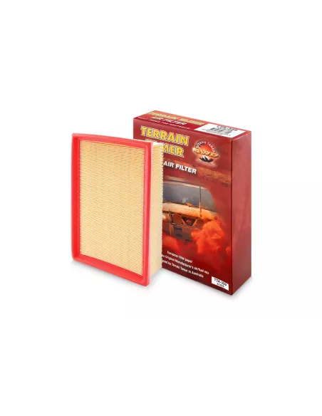 Filtre à air TT A1598 pour D40M Navara et Terrain Tamer