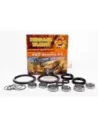 KIT DE RÉPARATION MOYEU DE DIRECTION Terrain Tamer Nissan