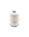Filtre à carburant (Z611) 4M40 4M41 Terrain Tamer
