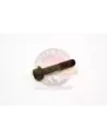 Boulon de Couronne Terrain Tamer Toyota Coaster HZB50