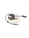 Antenne complète avec support pour antenne électrique GX VX