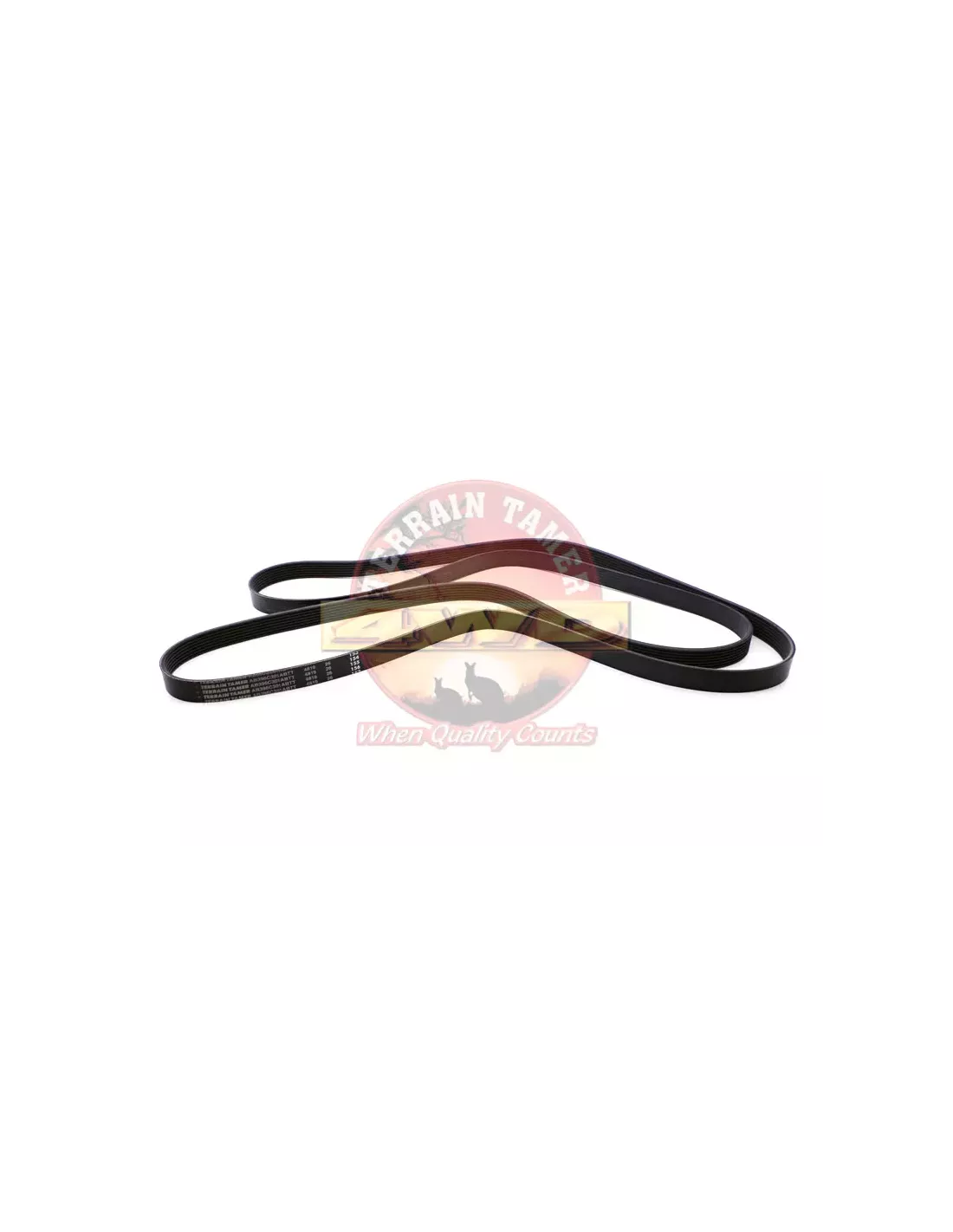 Kit Courroie de Ventilateur P4AT 2.2L Terrain Tamer Ford