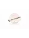 Boulon Capuchon Palier Vilebrequin N°1 Terrain Tamer Toyota