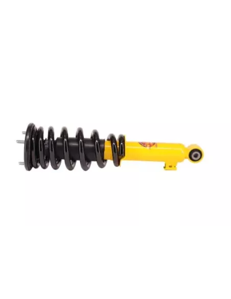 Jeu d'amortisseurs Coil Over +35mm charge 100kg pour MQ