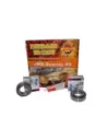 Kit roulement E Locker arrière Ford , BT50 Terrain Tamer