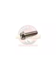 Boulon pour brides de tuyau d'échappement L 36MM Terrain 2