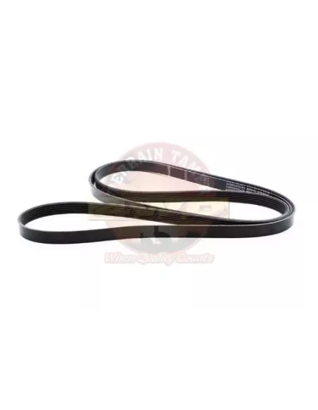 KIT DE COURROIE DE VENTILATEUR Terrain Tamer Holden
