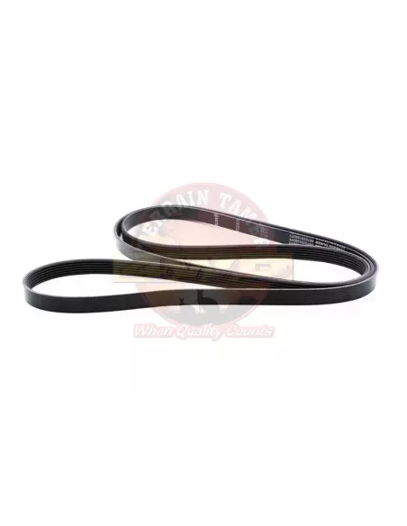KIT DE COURROIE DE VENTILATEUR Terrain Tamer Holden
