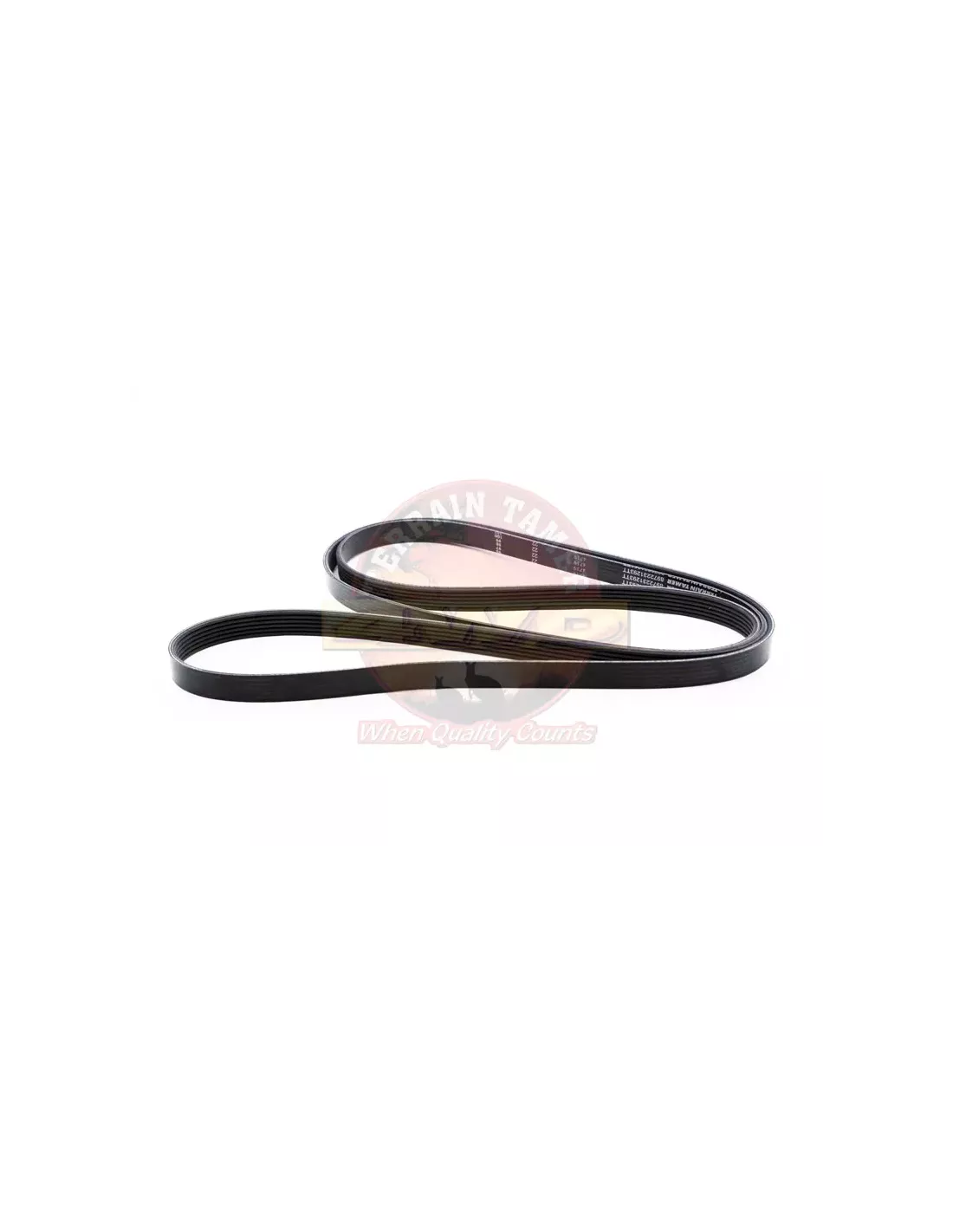 KIT DE COURROIE DE VENTILATEUR Terrain Tamer Holden