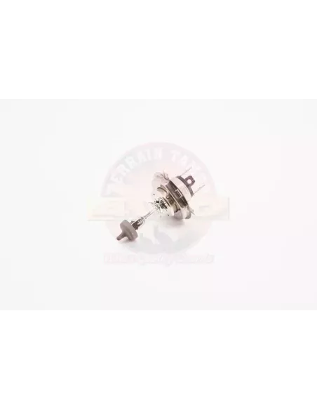 Ampoule phare 12V 60/55W Terrain Tamer Toyota Fj Cruiser