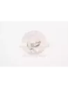 Boulon de raccordement conduite pression pompe direction