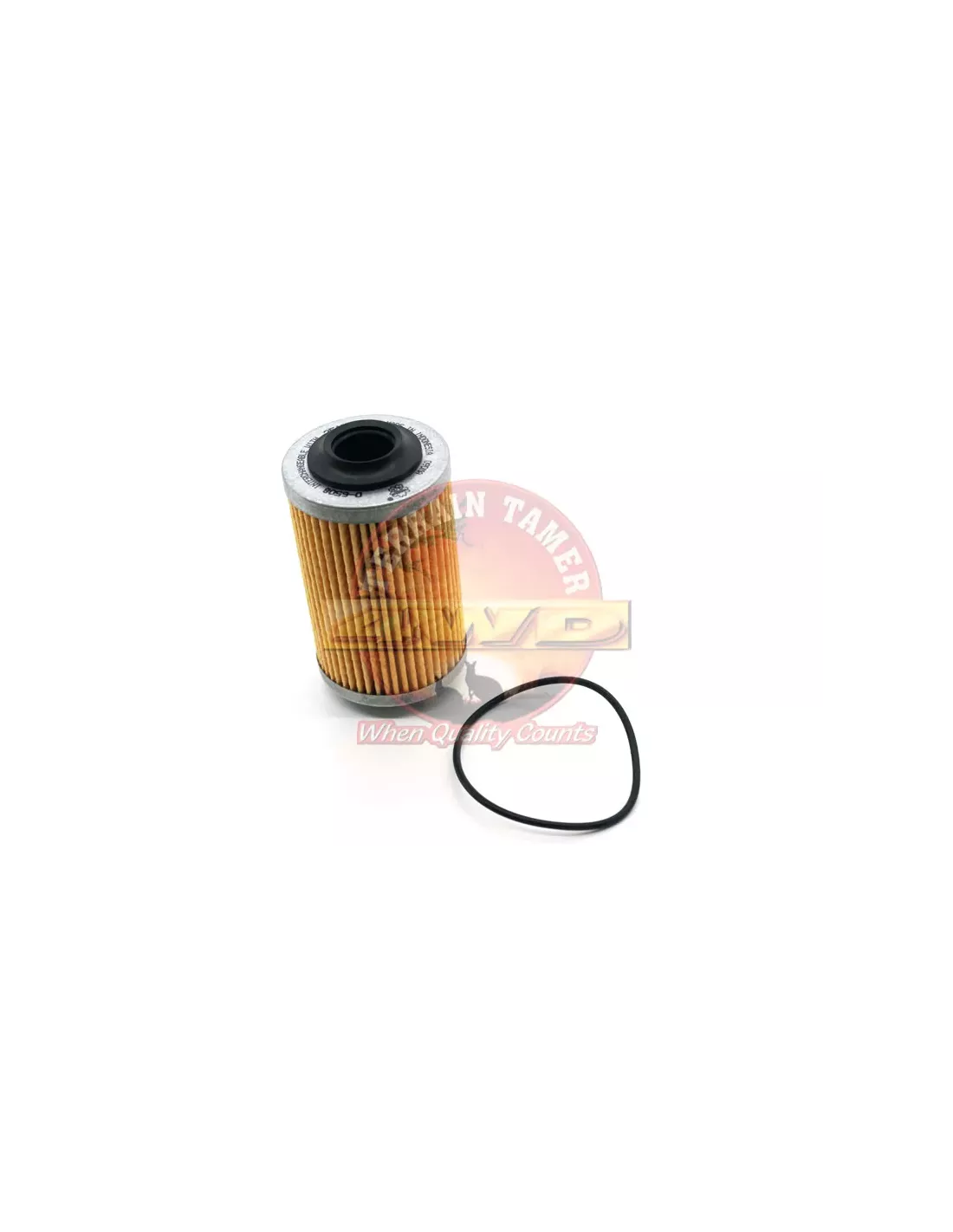 Filtre à huile (R2605P) Terrain Tamer Holden Adventra Vz