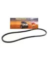 Courroie de direction assistée V6 3.2L 6VD1 Terrain Tamer