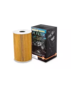 Filtre à huile 2.0L 4 cylindres Terrain Tamer Volkswagen