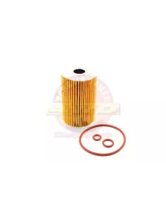 Filtre à huile 2.0L TDI 2HA 2HB S1B Terrain Tamer