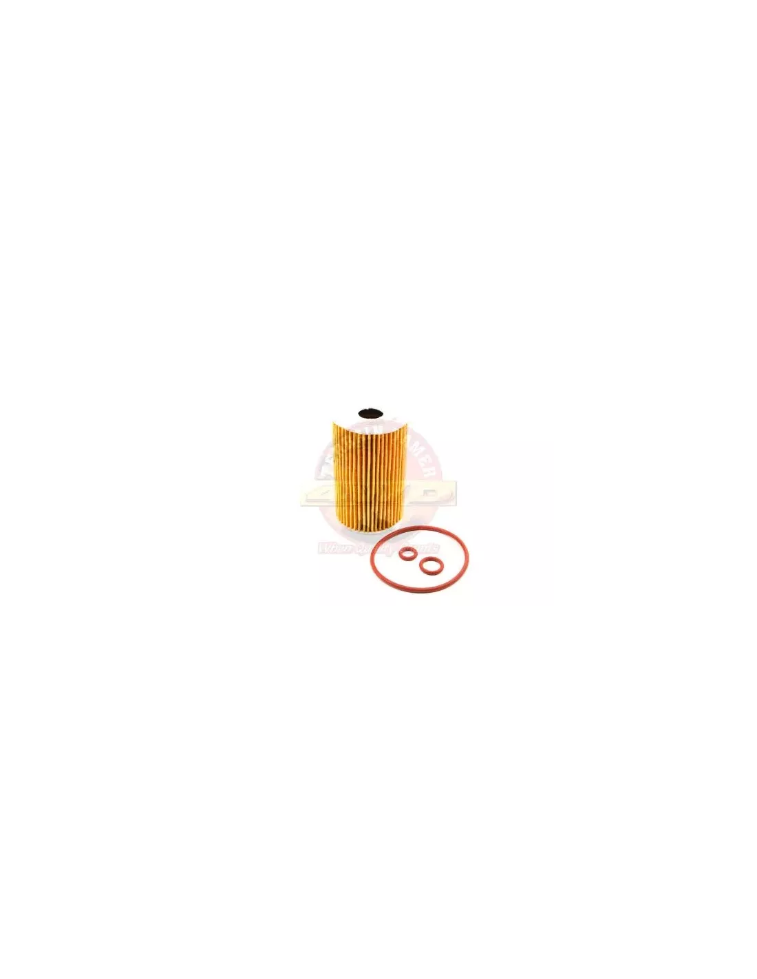 Filtre à huile 2.0L TDI 2HA 2HB S1B Terrain Tamer