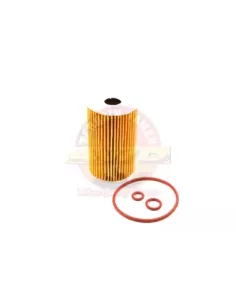 Filtre à huile 2.0L TDI 2HA 2HB S1B Terrain Tamer 2