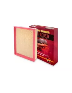 Filtre à air TT A1957 EB3Z9601B, EB3G9601AA Terrain Tamer 2