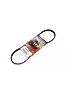 Courroie de pompe à eau 2.0L moteur YN2S Terrain Tamer Ford