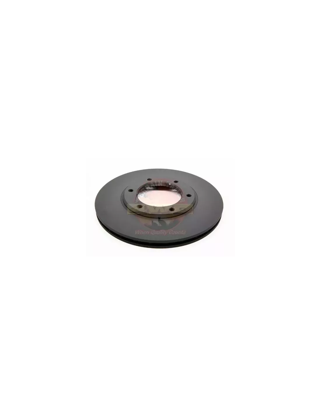 Disque de frein avant sauf modèles 4.2L EFI Terrain Tamer