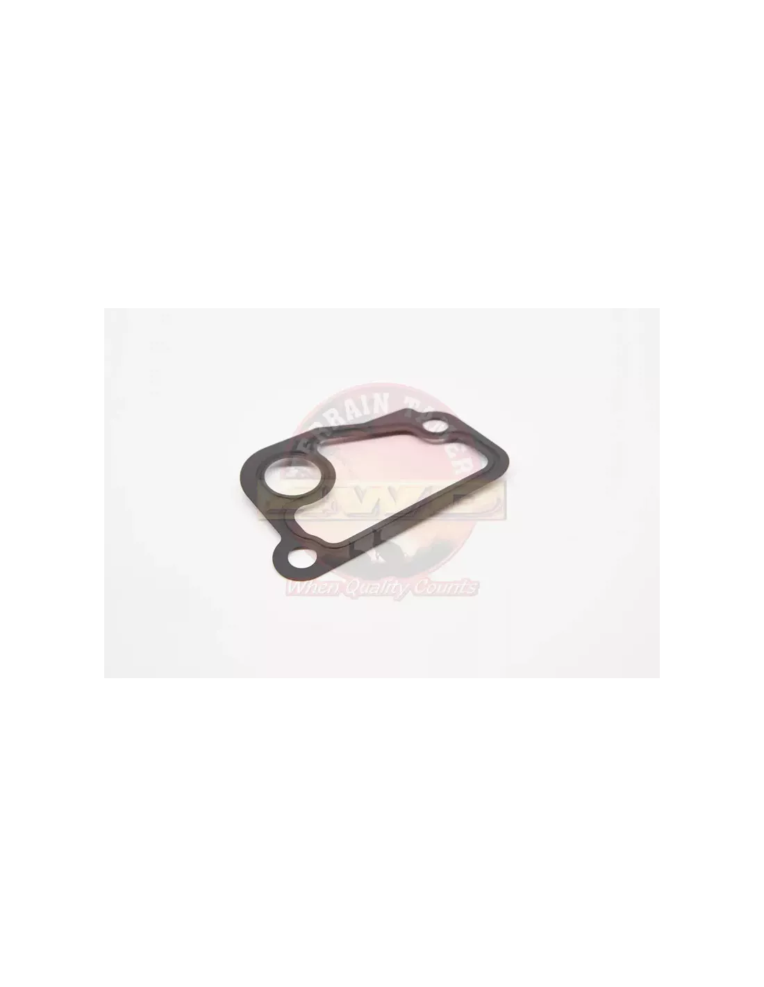Joint de boîtier thermostat vers culasse Terrain Tamer