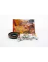Kit de joint de pignon avec écrous pour 09/2009+ tôt et tard