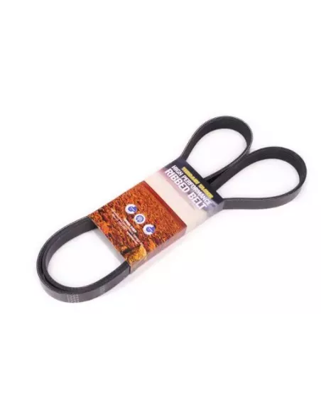 Courroie d’accessoires 4D56T 2,5L Terrain Tamer Mitsubishi