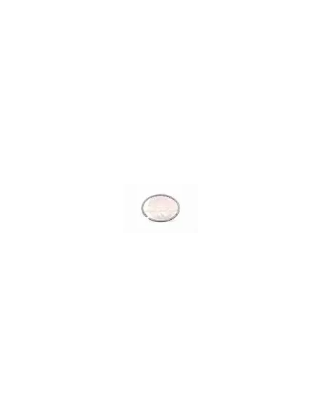 Circlip centre de roulement de pignon principal T 1,65 ID