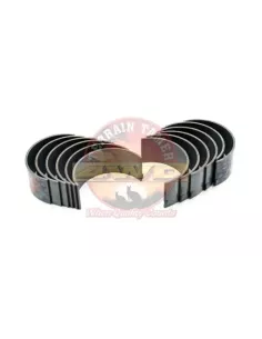 Jeu de coussinets de bielle 0,50 mm H 2H Terrain Tamer
