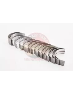 Kit roulement principal 0.25 H 2H 12HT Terrain Tamer Toyota