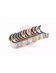 Jeu de coussinets de bielle 1,00 mm Terrain Tamer Toyota 2