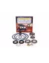 Kit révision différentiel avec roulements de pignon haute