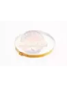 Collier de Soufflet CV Extérieur N°1 Grand Terrain Tamer