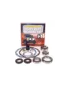 Kit de révision différentiel compatible différentiel