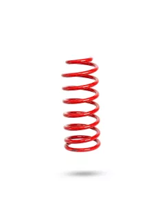RESSORT ARG PEDDERS TOYOTA VDJ200 - avec KDSS